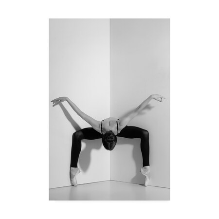 Trademark Fine Art PhotoINC Studio 'Dance Pose' Canvas Art, 22x32 IC01744-C2232GG